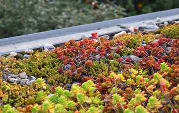 the cost of Fen Drayton green roof installation
