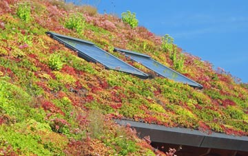 Fen Drayton living roof systems