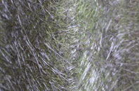 Fen Drayton fibreglass roof work